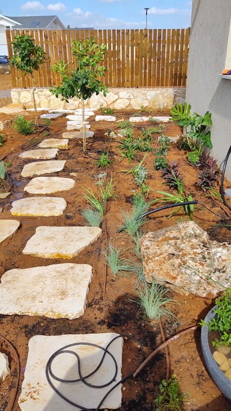 תכנון גינה פרטית: המדריך מהרעיון ועד לביצוע